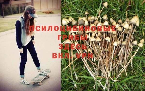 гашишное масло Арсеньев
